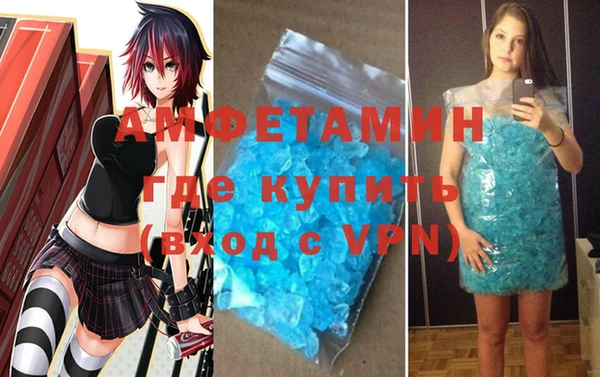 сатива Коряжма