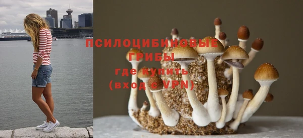 mix Костерёво