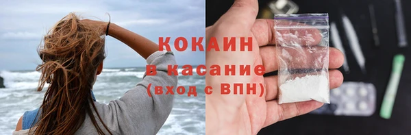 гидра Корсаков