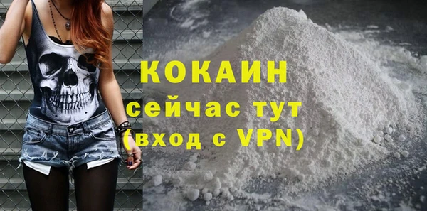 сатива Коряжма