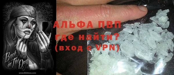 гидра Корсаков