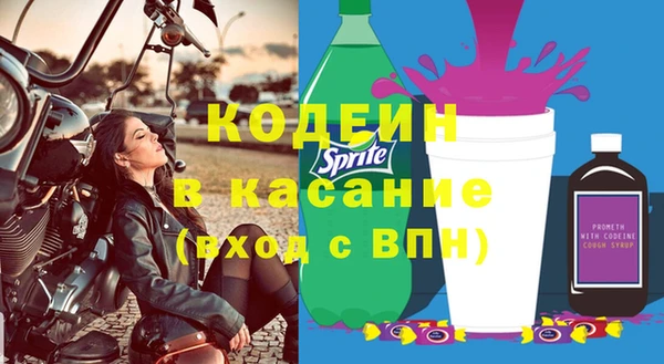 гидра Корсаков