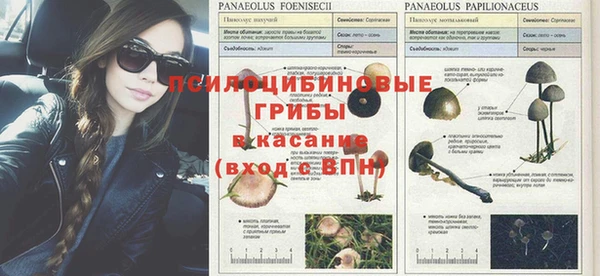 mix Костерёво