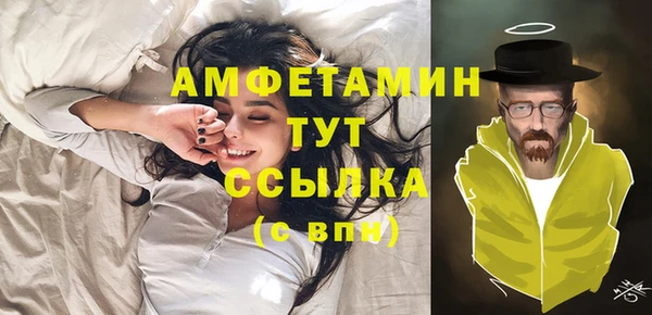 сатива Коряжма