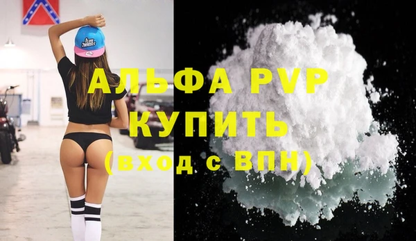 сатива Коряжма