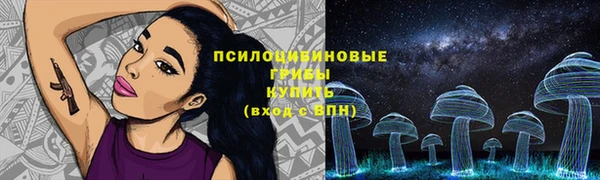 гидра Корсаков
