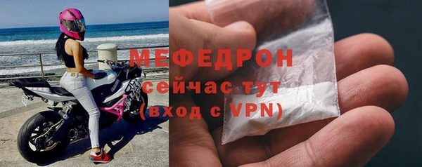 сатива Коряжма