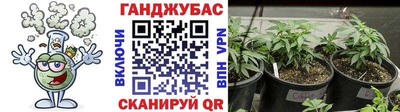 Купить  Барабинск  Бошки Шишки план 